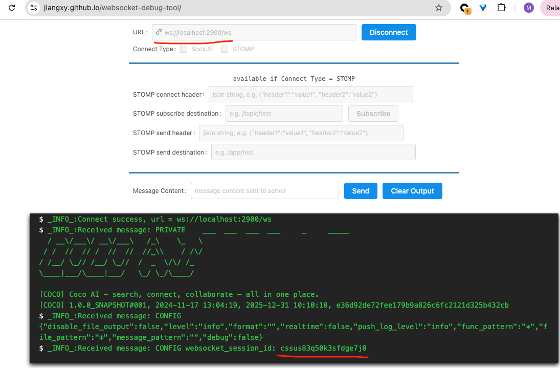 WebSocket ID